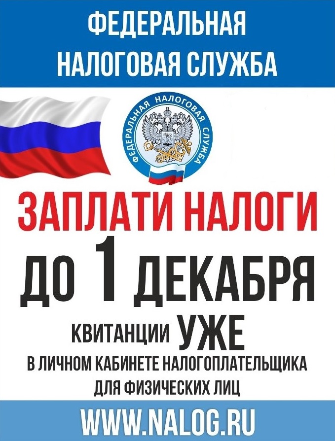 Заплатите налоги до 1 декабря.