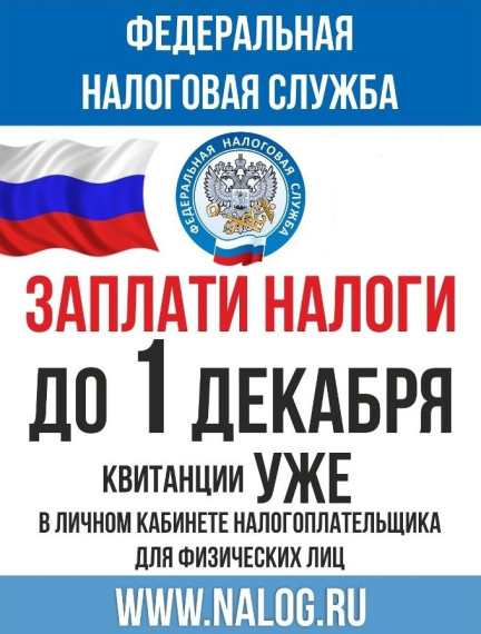 Заплатите налоги до 1 декабря. Заплатите налоги до 1 декабря.
